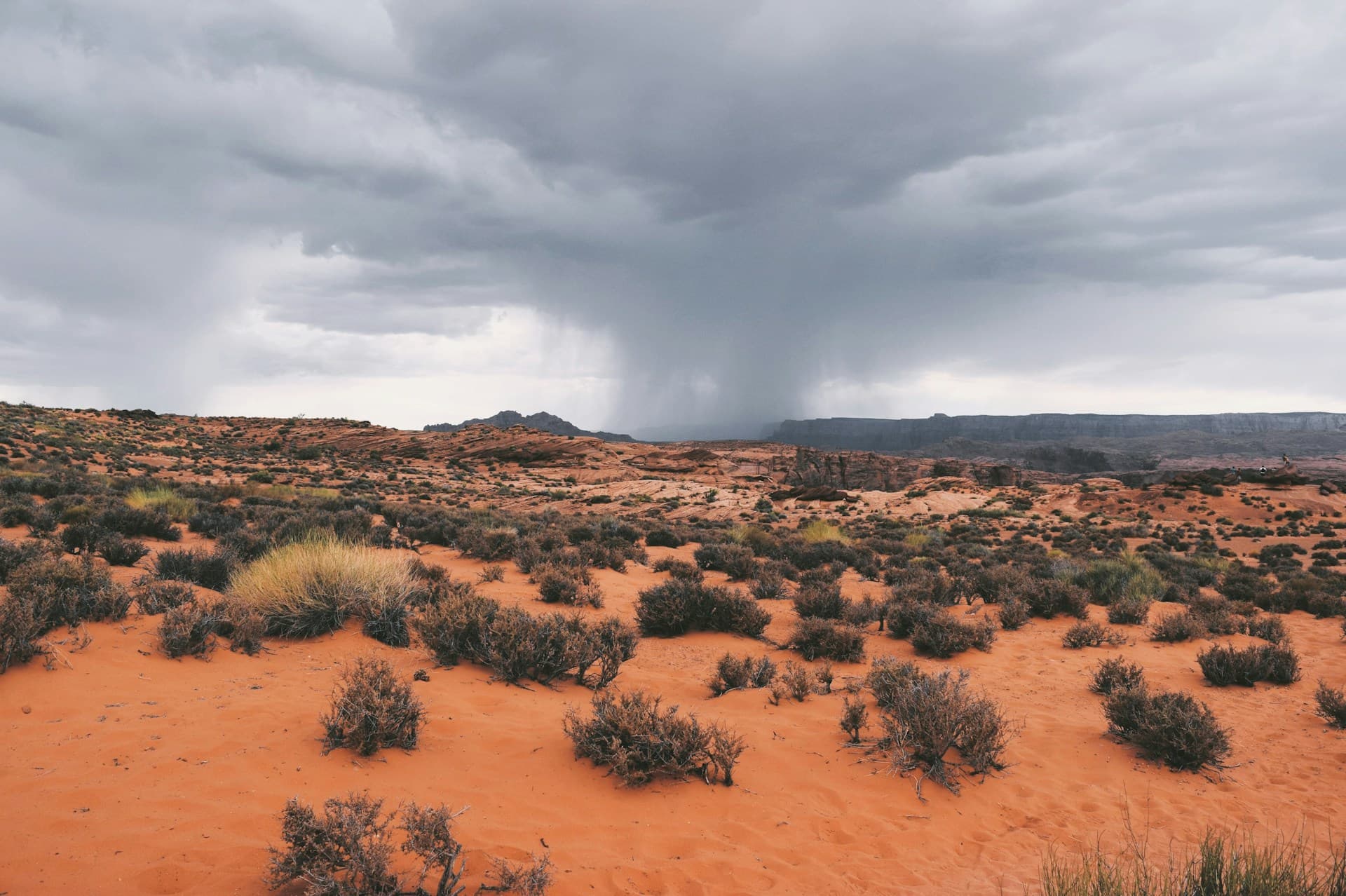 Arizona desert landscape